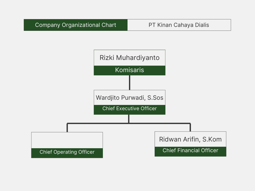 Company Structure